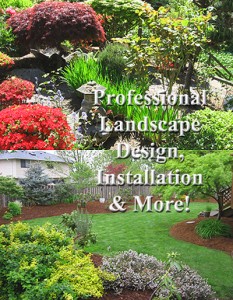 Professional Landscape Design, Installation & More | C & C Construction | Seattle & Mercer Island General Contractor